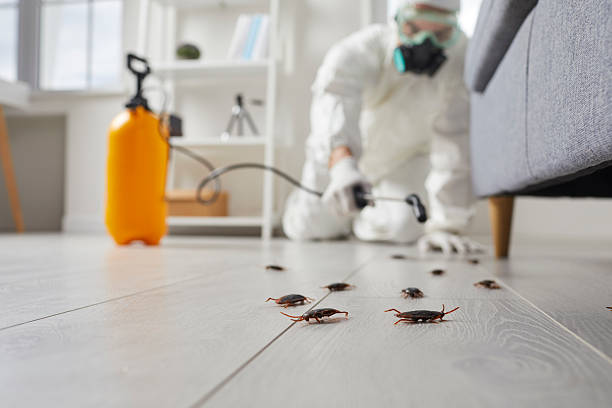 Commercial Kitchen Cockroach Control in Warr Acres